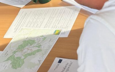 Od lokalnych problemów do Smart Village – zakończyliśmy cykl warsztatów dla mieszkańców obszaru LGD Partnerstwo Sowiogórskie